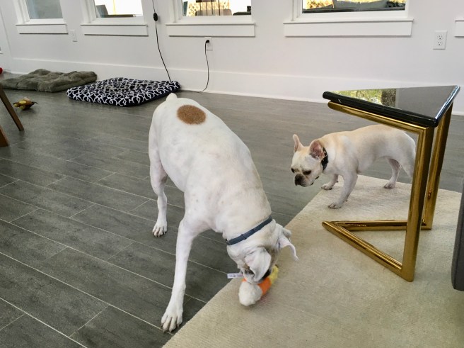 Lucy and Twiggy