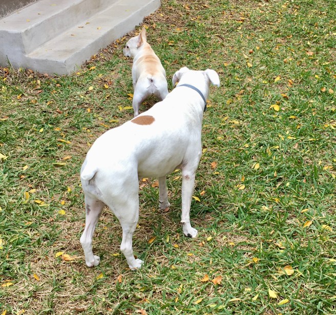 Lucy and Twiggy