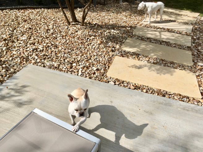 Lucy and Twiggy