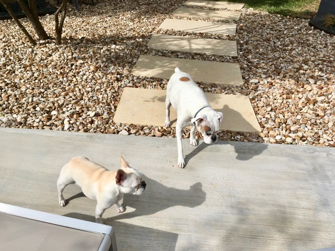 Lucy and Twiggy