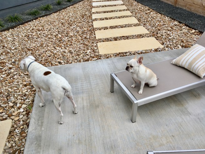 Lucy and Twiggy
