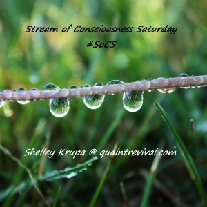 Stream of Consciousness