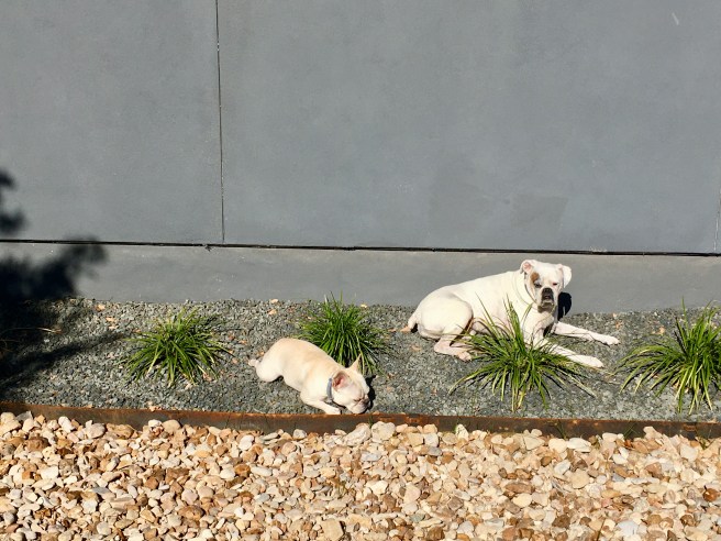 Lucy and Twiggy
