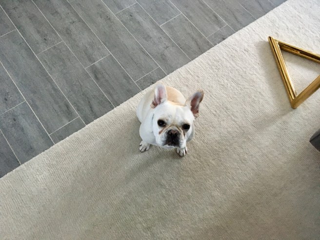 Lucy and Twiggy