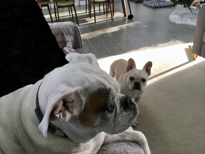 Lucy and Twiggy