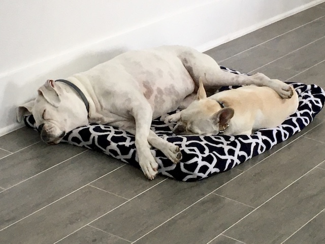 Lucy and Twiggy