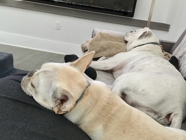 Lucy and Twiggy