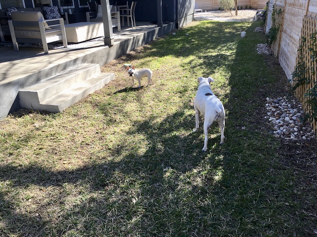 Twiggy and Lucy