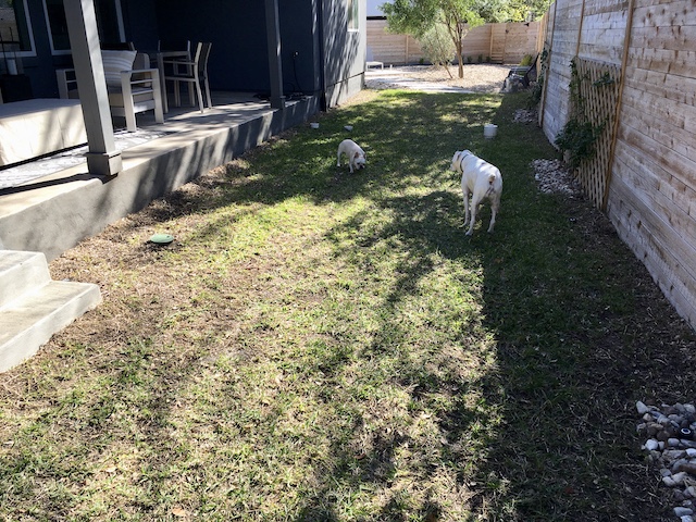 Twiggy and Lucy