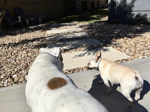 Lucy and Twiggy