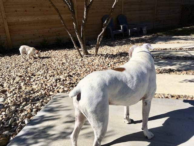 Lucy and Twiggy