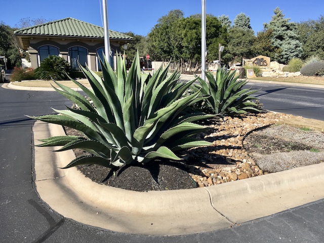 Views of the neighborhood