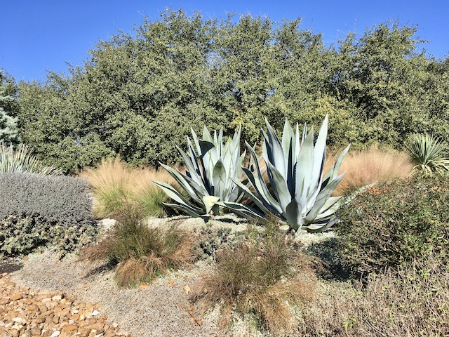 Views of the neighborhood
