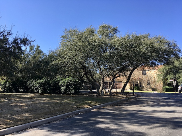 Views of the Neighborhood
