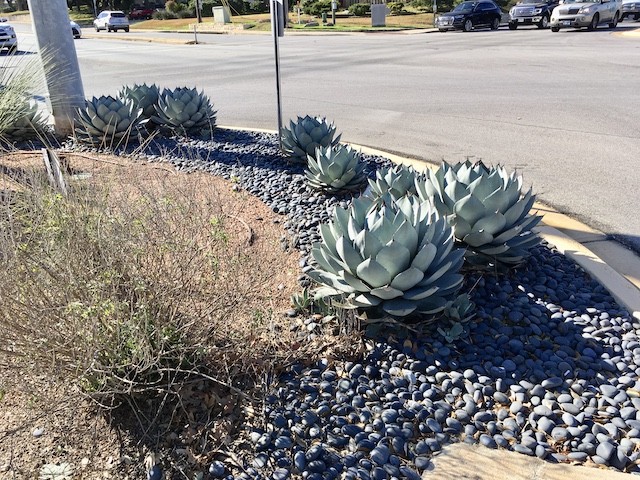 Views of the Neighborhood