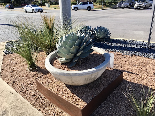 Views of the Neighborhood