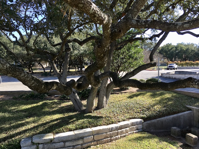Views of the Neighborhood