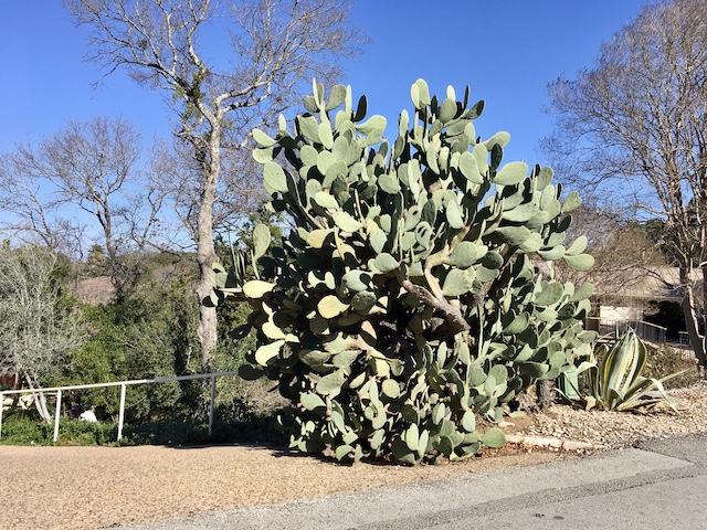 Views of the Neighborhood