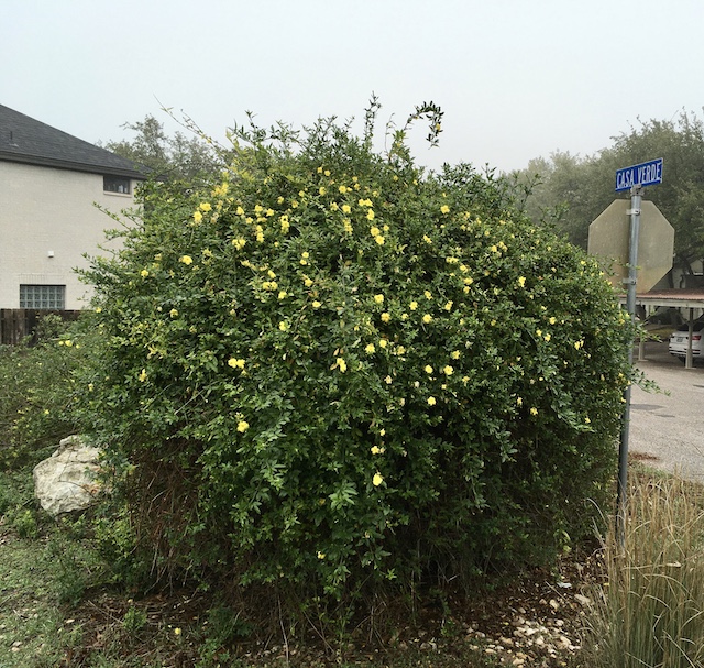 Views of the neighborhood