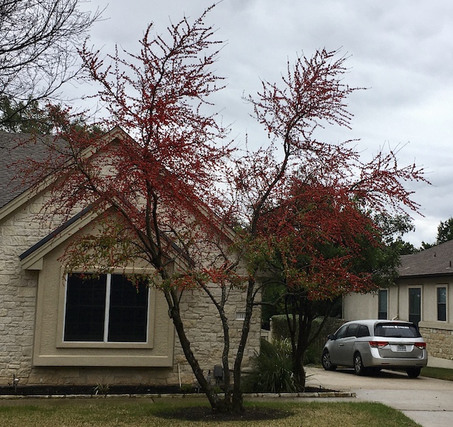 Views of the Neighborhood
