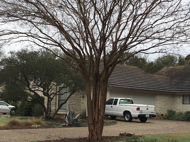Views of the Neighborhood