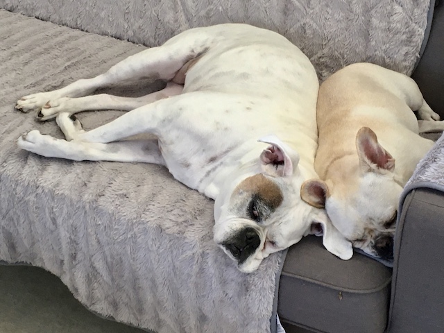 Lucy and Twiggy