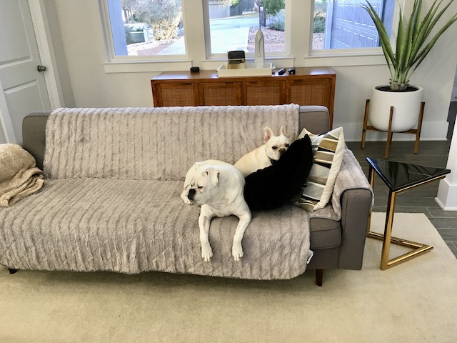 Hump Day