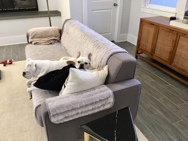 Twiggy and Lucy TGIF