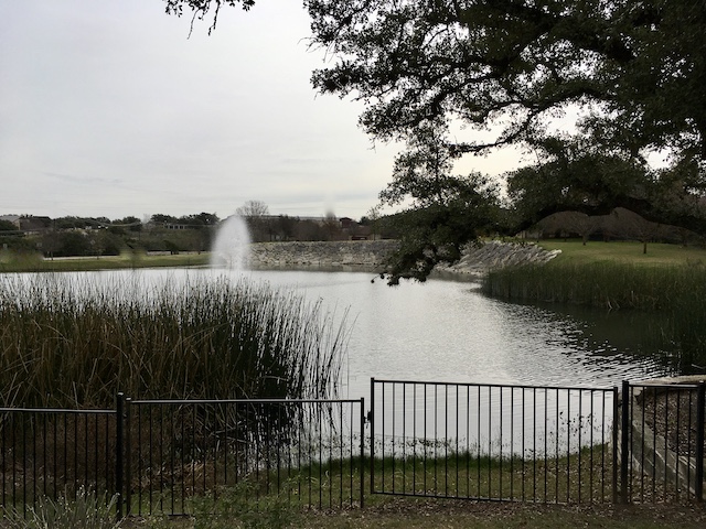 Views of the neighborhood