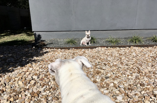 Lucy and Twiggy