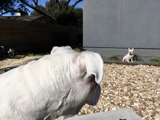 Lucy and Twiggy