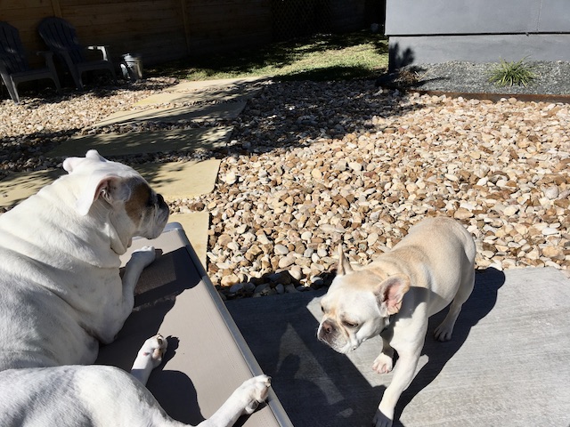Lucy and Twiggy