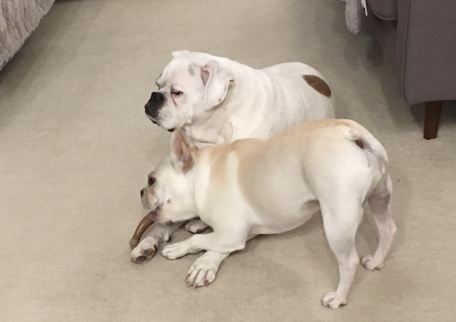 Lucy and Twiggy
