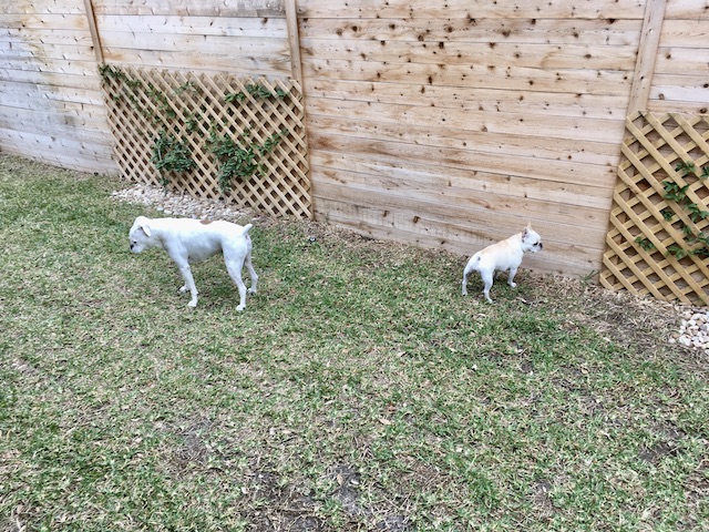Lucy and Twiggy