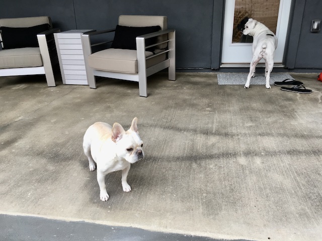 Lucy and Twiggy