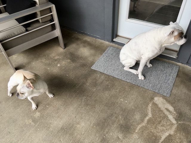 Lucy and Twiggy