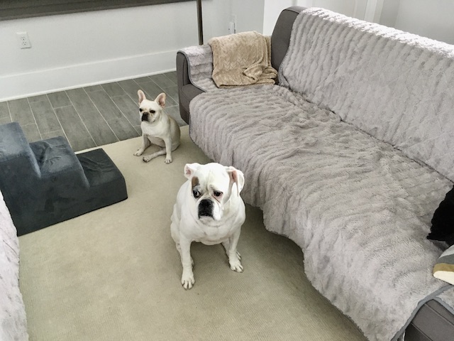 Lucy and Twiggy