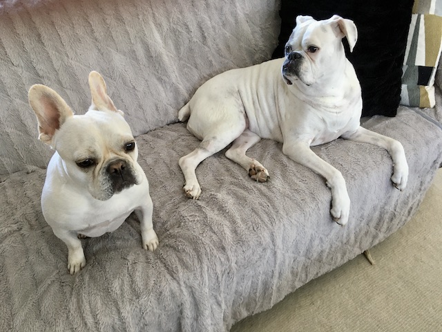 Twiggy and Lucy