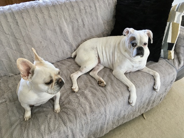 Lucy and Twiggy