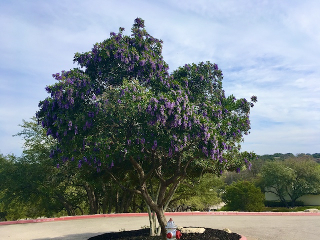Views of the Neighborhood