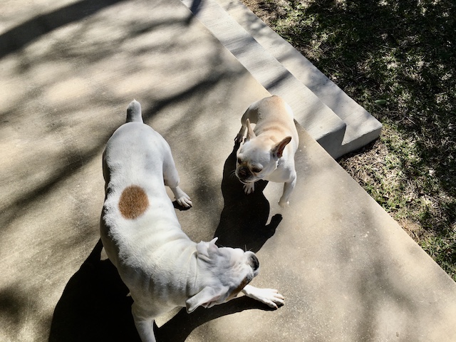 Lucy and Twiggy