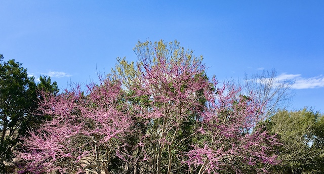 Views of the Neighborhood