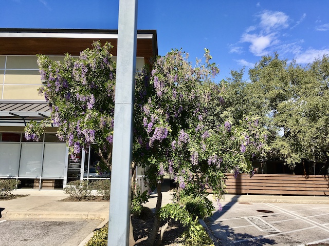 Views of the Neighborhood