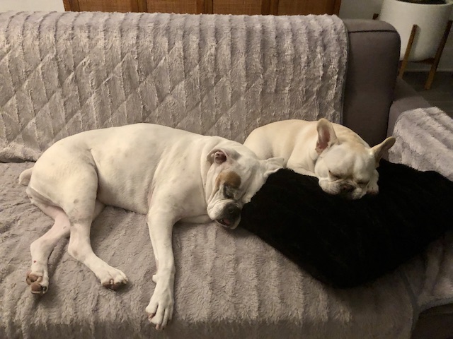 Twiggy and Lucy