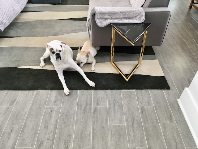 Lucy and Twiggy