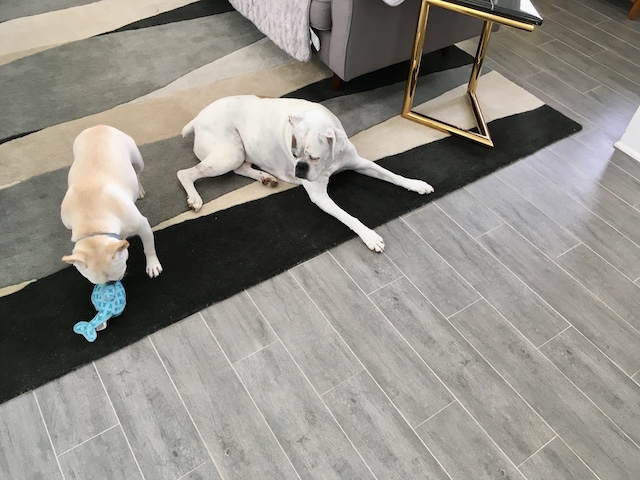 Lucy and Twiggy