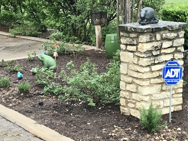 Views of the Neighborhood