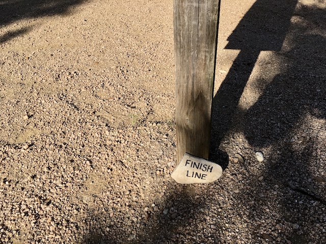 Views of the Neighborhood