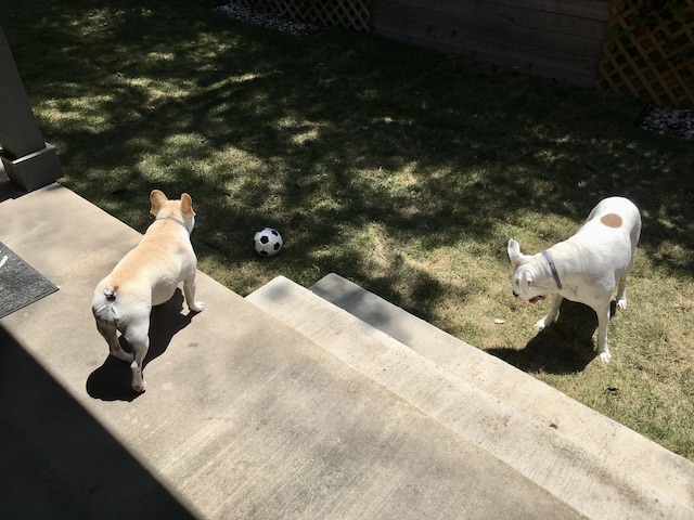 Lucy and Twiggy