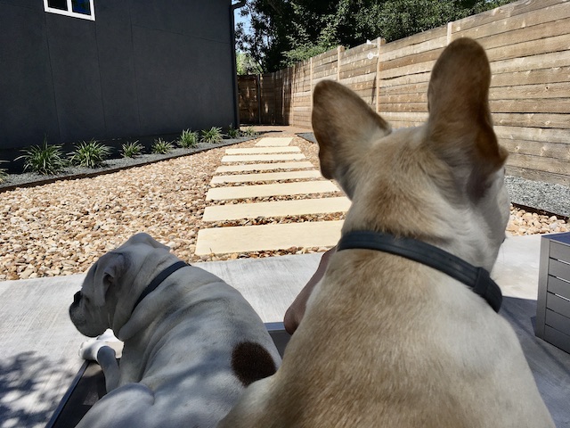 Lucy and Twiggy